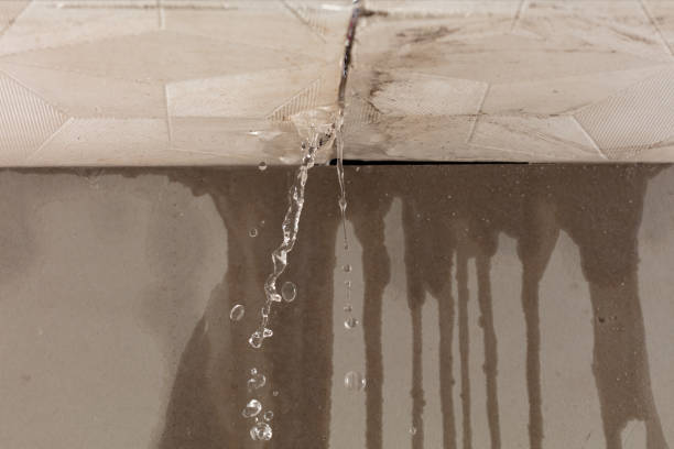 Professional Sewage Cleanup technician working in Camden, MS
